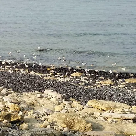 La Naturelle 119 Wimereux